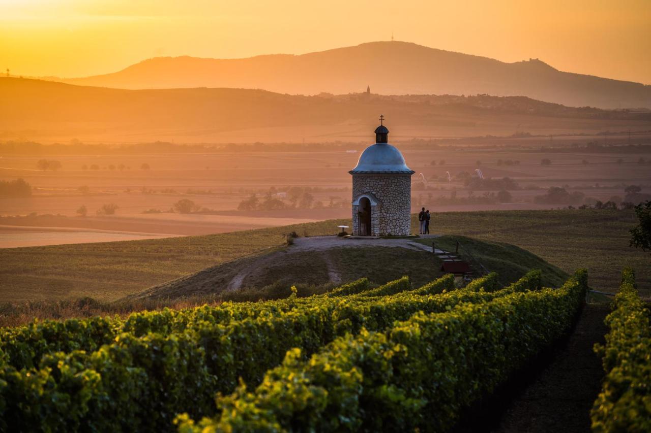 Vinoza - Ubytovani A Vinny Sklep Velke Bilovice Rulandova ภายนอก รูปภาพ