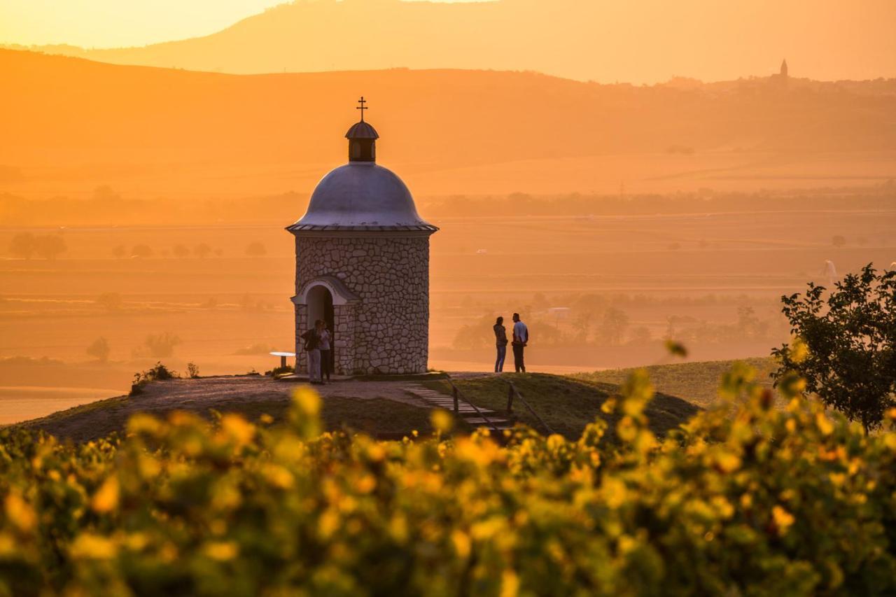 Vinoza - Ubytovani A Vinny Sklep Velke Bilovice Rulandova ภายนอก รูปภาพ