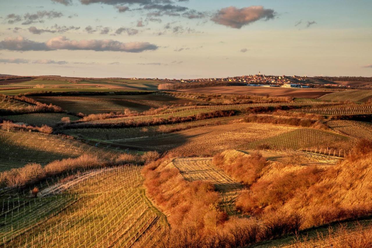Vinoza - Ubytovani A Vinny Sklep Velke Bilovice Rulandova ภายนอก รูปภาพ