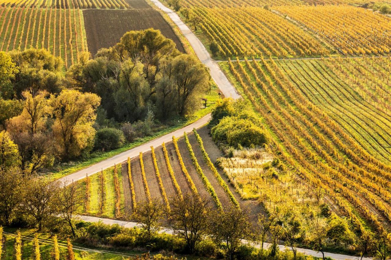 Vinoza - Ubytovani A Vinny Sklep Velke Bilovice Rulandova ภายนอก รูปภาพ